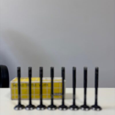 Valvole Scarico RHIAG, ROVER