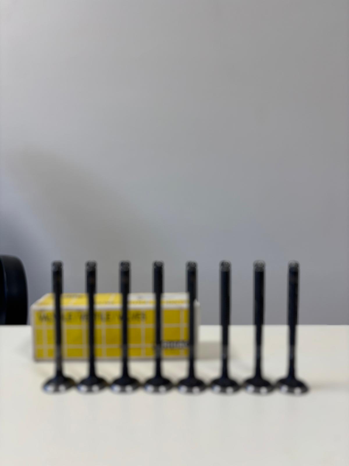 Valvole Scarico RHIAG, ROVER