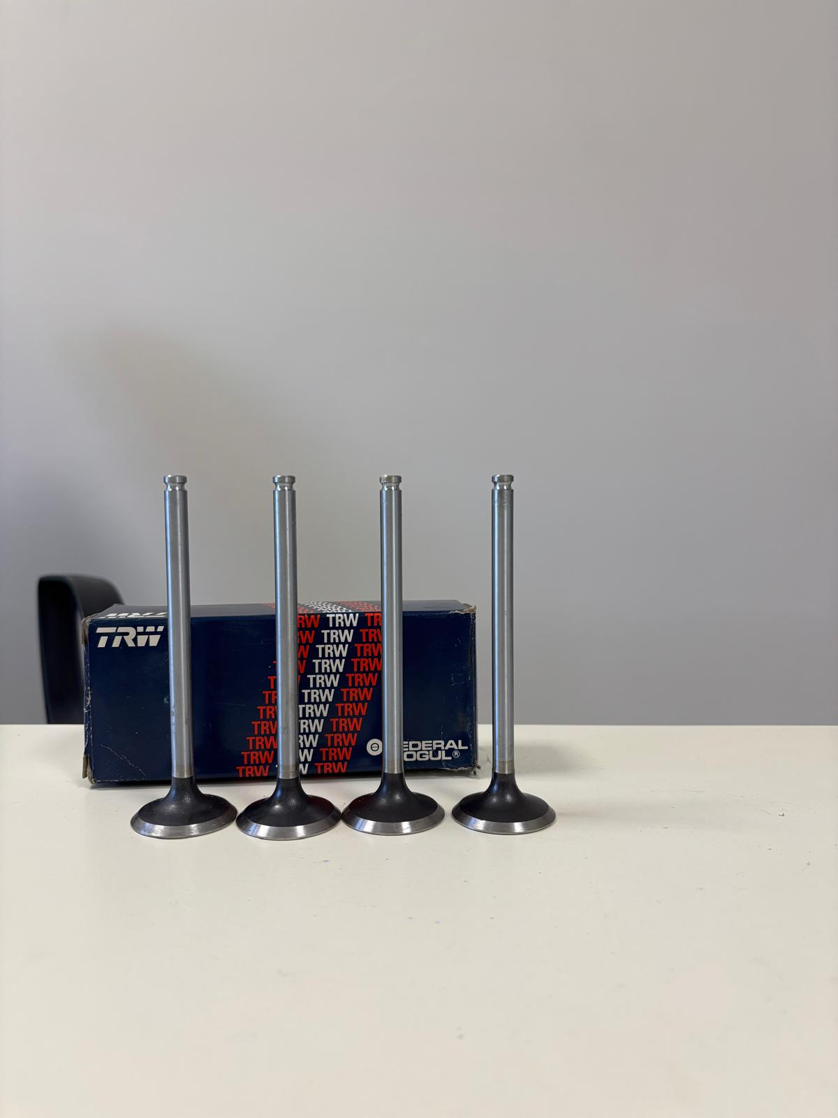 Valvola Aspirazione TRW, Fiat Ritmo