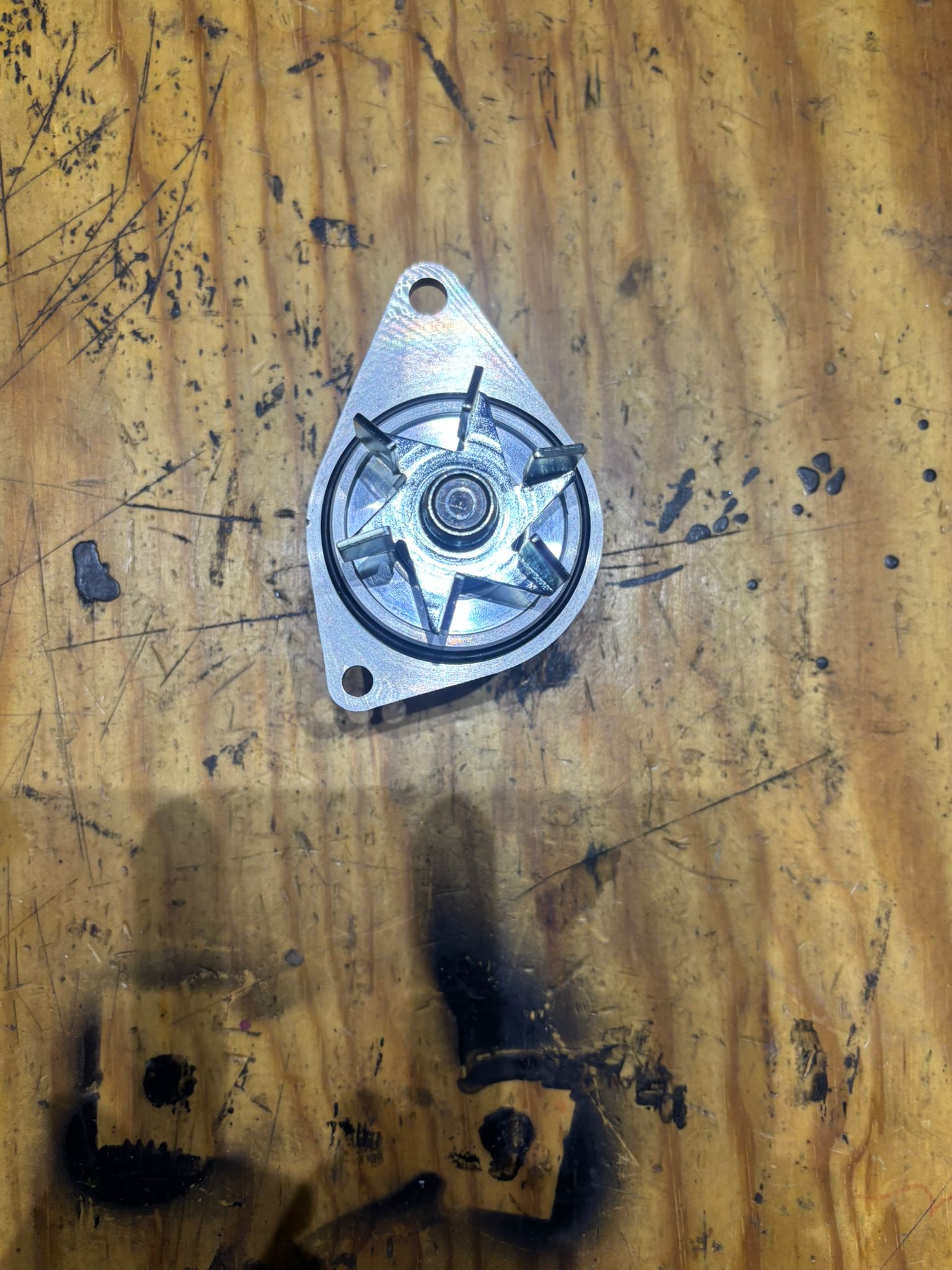 Pompa Acqua SIL, Citroen - immagine 2